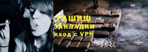 твердый Бородино