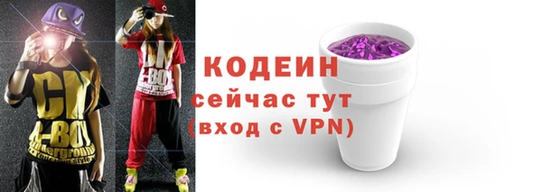 твердый Бородино
