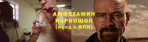твердый Бородино