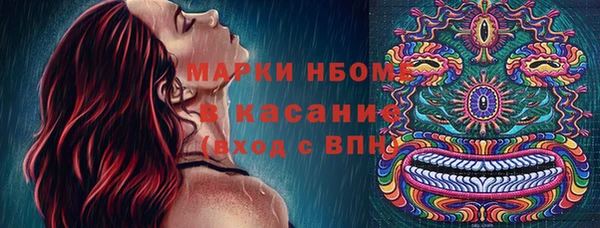 твердый Бородино