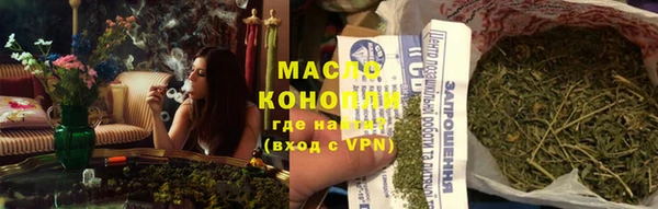 твердый Бородино