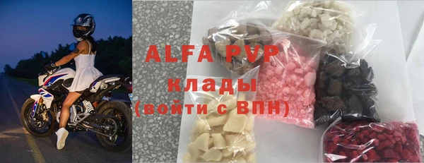 твердый Бородино