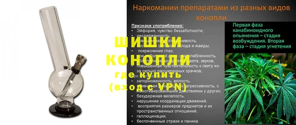 твердый Бородино