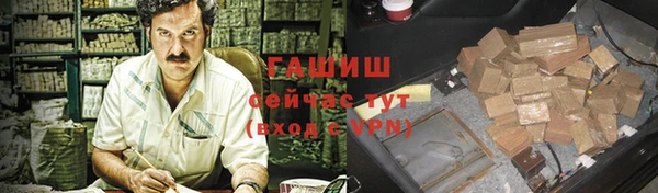 твердый Бородино