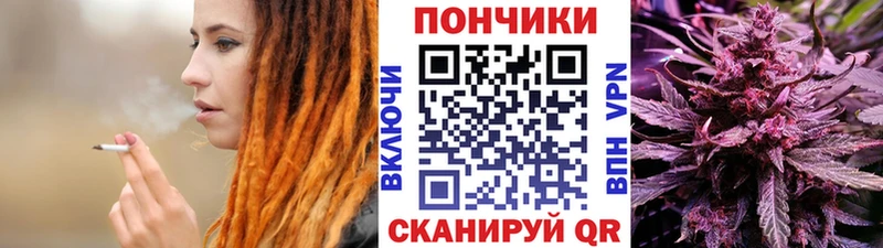 это Telegram  ОМГ ОМГ зеркало  Артём  Марихуана индика 